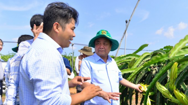 Địa phương có trách nhiệm tổ chức sản xuất dẫn dắt thị trường nông sản