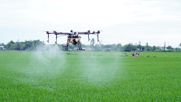 Cắt giảm 168 hoạt chất thuốc bảo vệ thực vật
