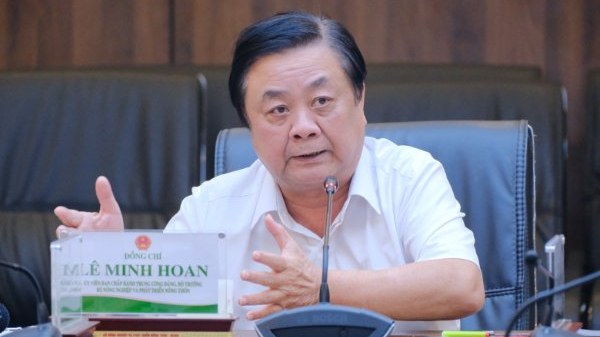 Cần tầm nhìn chiến lược và tư duy đột phá trong quy hoạch cảng cá