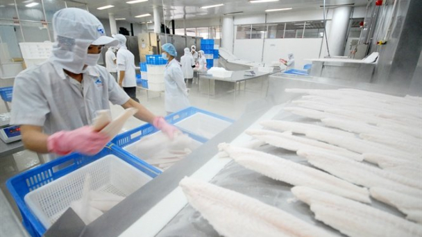 Giá cá tra xuất khẩu sang Hoa Kỳ đạt 4,5 USD/kg, cao nhất 3 năm qua