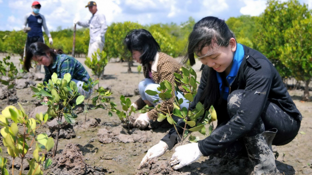 Đảm bảo rừng có độ che phủ đạt trên 42%