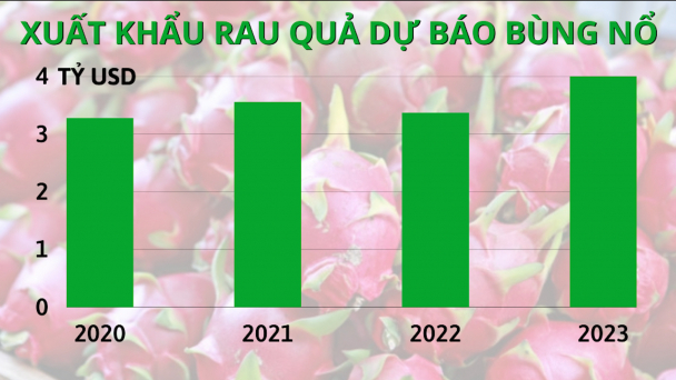 Xuất khẩu rau quả dự báo bùng nổ năm 2023 với kim ngạch 4 tỷ USD