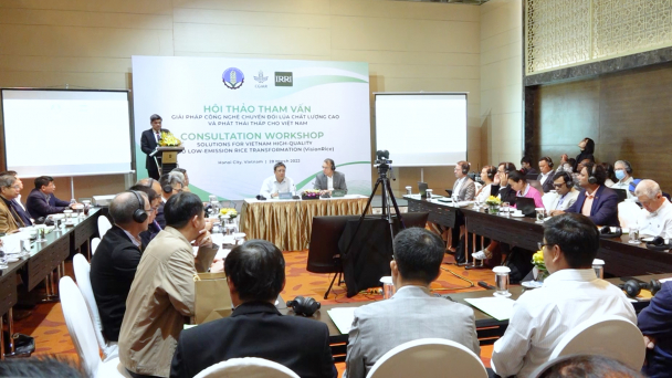 Sản xuất lúa gạo theo định hướng tăng trưởng xanh