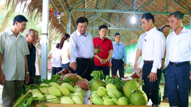 Hợp tác xã không chỉ đơn thuần là kinh tế và phân chia lợi ích