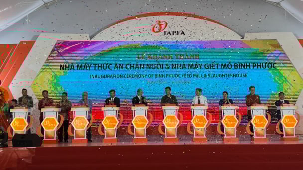 Huy động 12.000 tỷ đồng thực hiện đề án 1 triệu ha lúa chất lượng cao