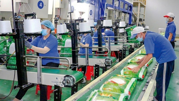 Giá trị xuất khẩu gạo tăng 55% nhưng lợi nhuận của doanh nghiệp giảm
