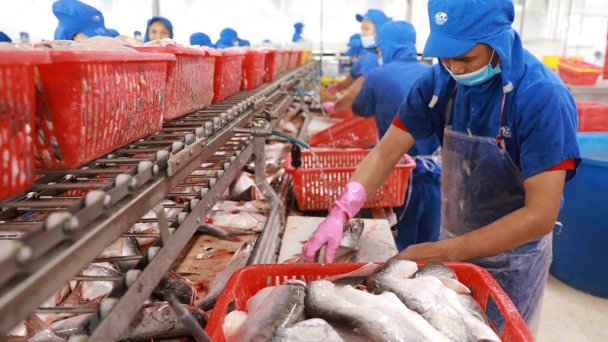 Tín hiệu tích cực xuất khẩu thủy sản