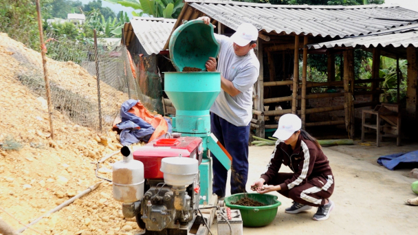 Người miền núi Tây Bắc ủ phân bón vi sinh phục hồi sức khỏe đất
