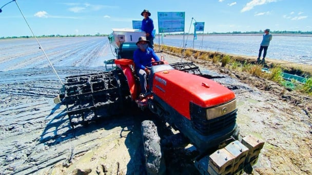 Giảm phát thải trong trồng trọt hướng tới thị trường tín chỉ carbon nông nghiệp