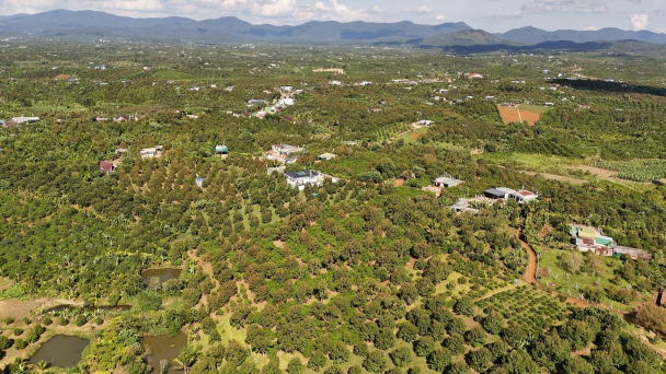 Mở không gian tăng trưởng mới cho nông nghiệp Lâm Đồng