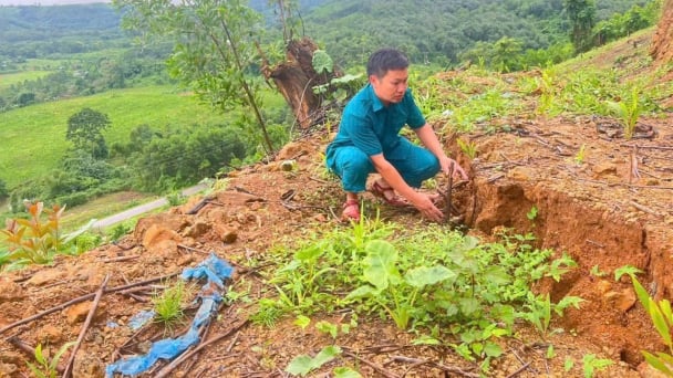 Xuất hiện vết nứt kéo dài 100 m trên đồi ở xã biên giới Tiền Phong