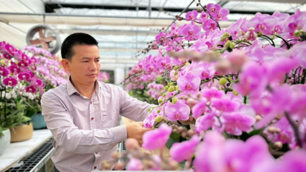 Những người không cam phận nghèo: [Bài 4] Tỷ phú trồng hoa nơi nắng gió