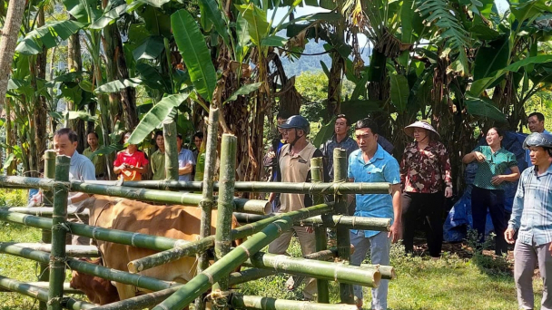 Nâng tầm khuyến nông Nghệ An bằng quy chế phối hợp liên ngành