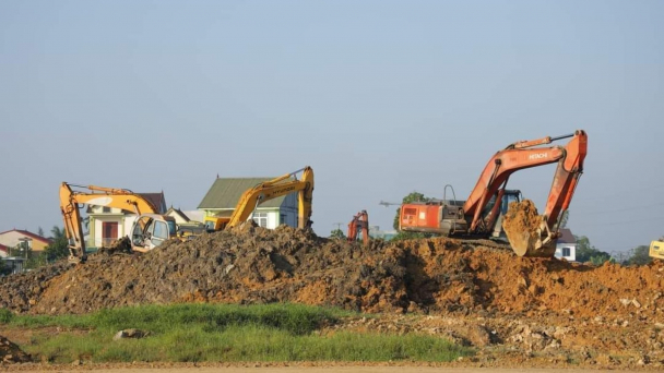 Nghệ An ban hành đơn giá bồi thường cây trồng, vật nuôi khi thu hồi đất
