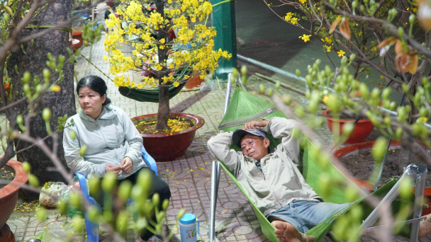 Trắng đêm 'vật vờ' chờ khách mua hoa Tết