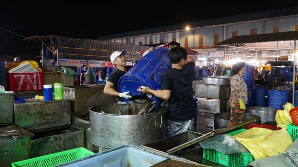Hơn 300 tấn cá lóc đổ về chợ đầu mối ngày vía Thần Tài