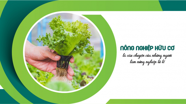 Nông nghiệp hữu cơ là câu chuyện của những người làm nông nghiệp tử tế
