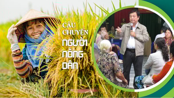Câu chuyện người nông dân