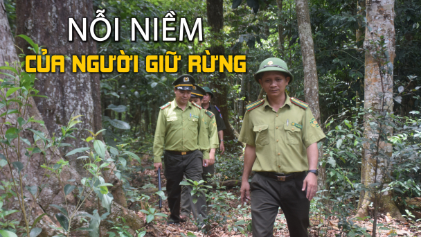 Nỗi niềm của người giữ rừng