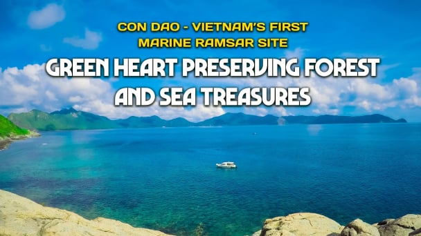 Con Dao – Vietnam's first marine ramsar site: Green heart preserving forest and sea treasures