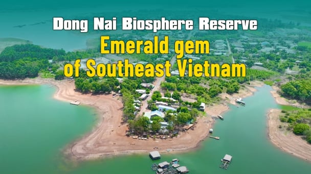 Dong Nai Biosphere Reserve – Emerald gem of Southeast Vietnam