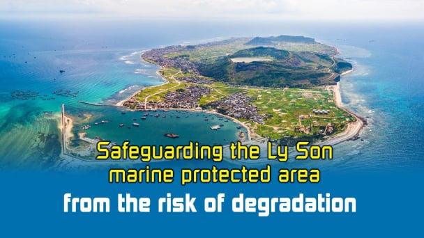 Safeguarding the Ly Son marine protected area from the risk of degradation