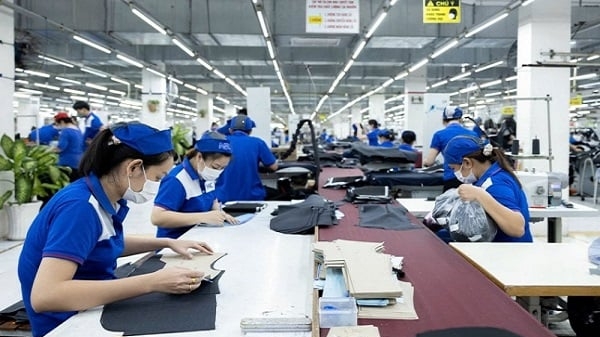 EU ưu tiên đầu tư vào dệt may xanh và công nghệ cao tại Việt Nam