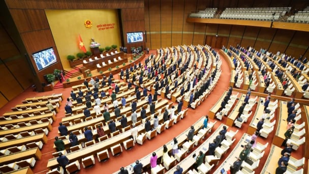 Trưởng, phó đoàn đại biểu Quốc hội TP.HCM và 22 tỉnh, thành sau sáp nhập