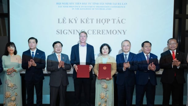 Hà Lan đề xuất dự án nhà máy rác phát điện 125 triệu USD