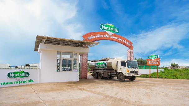 NutiFood chính thức ra mắt Trang trại Bò sữa NutiMilk