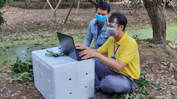 Bưu điện Việt Nam tham gia phục hồi kinh tế nông nghiệp thông qua sàn Postmart.vn