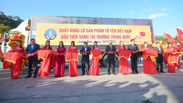Sự chuẩn bị kỹ càng cho lô sản phẩm tổ yến đầu tiên sang Trung Quốc