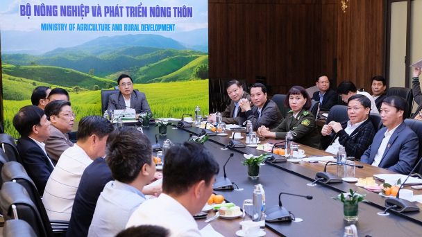 Tăng cường liên kết, tăng sức cạnh tranh cho doanh nghiệp ngành gỗ