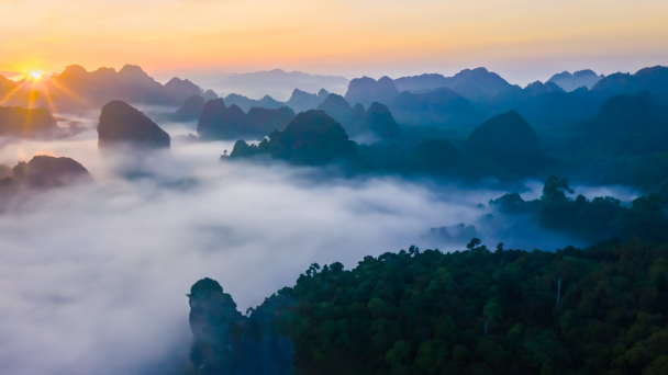 Cúc Phương - Điểm hẹn của tình yêu thiên nhiên