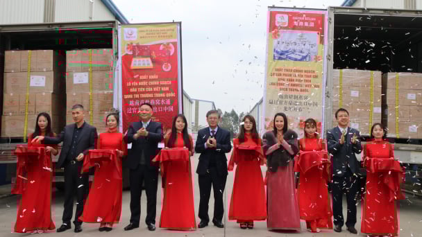 Xuất khẩu lô sản phẩm yến nước đầu tiên của Việt Nam sang Trung Quốc