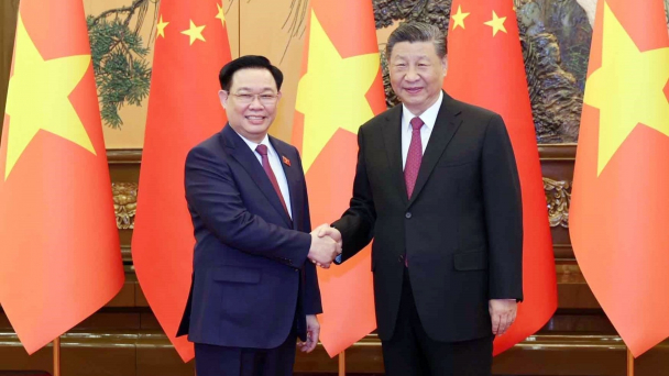 Chủ tịch Quốc hội Vương Đình Huệ hội kiến Chủ tịch Trung Quốc Tập Cận Bình
