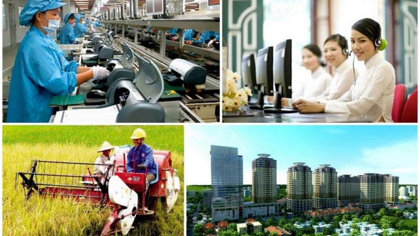 Thủ tướng quyết định thành lập Hội đồng Tư vấn chính sách