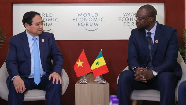 Senegal hopes Vietnam will continue to support rice and cashew production