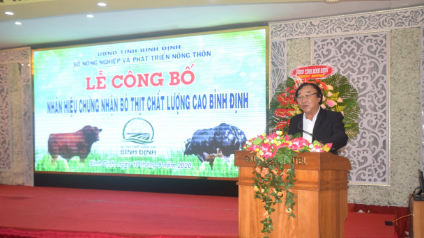 Bình Định: Công bố nhãn hiệu chứng nhận bò thịt chất lượng cao