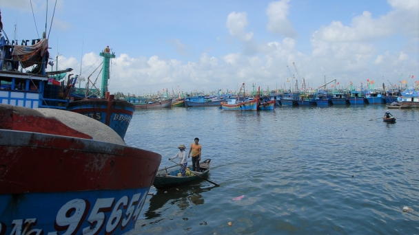 Bình Định khẩn trương ứng phó bão Noru