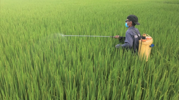 Vui xuân không quên ruộng đồng