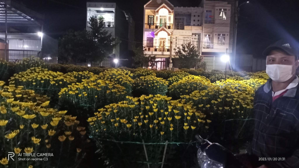 Kinh doanh hoa Tết không như kỳ vọng