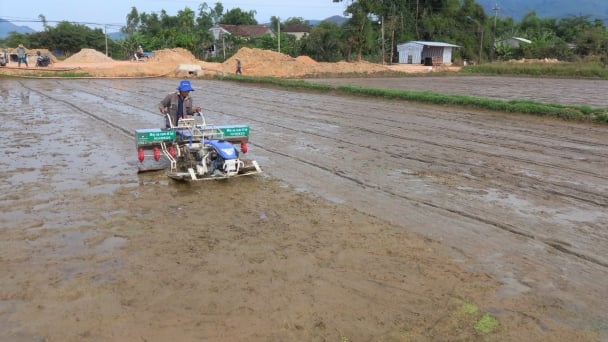 Sạ cụm, cách làm mới lợi đủ bề