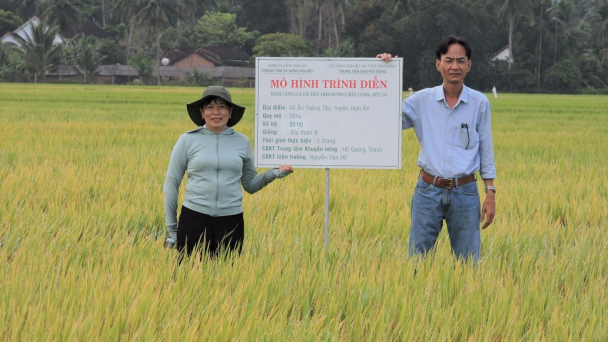Nông dân ngày càng hưởng ứng, nhân rộng lúa hữu cơ