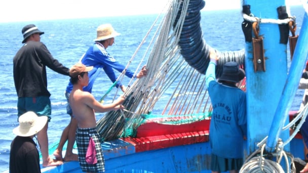 Chuyển đổi sinh kế cho ngư dân: [Bài 1] Đánh bắt giảm sút