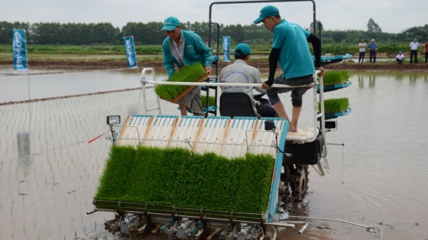 Tỷ lệ cấy máy của Hà Nội tăng gấp đôi