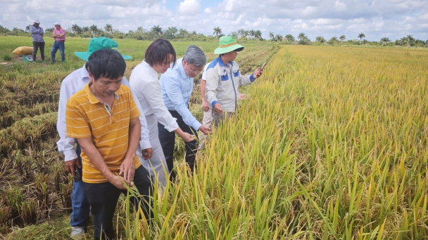 Hợp tác doanh nghiệp-doanh nghiệp Việt Nam-Cuba, con đường giúp bạn tự chủ lương thực