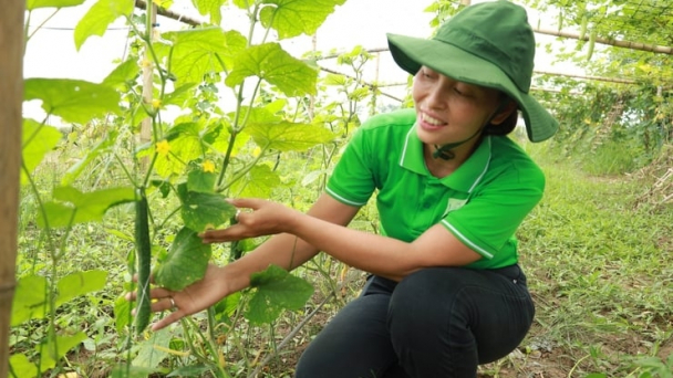 Xây dựng NTM theo hướng xanh, sạch, đẹp ở xã đảo Minh Châu