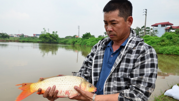 Báo Nông nghiệp và Môi trường tọa đàm đưa nông sản các tỉnh về Hà Nội