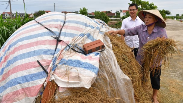 Nơi mỗi ruộng rau đều có một cây rơm